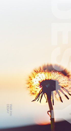 麻将胡了2(中国游)官方网站 - IOS/安卓通用版/手机APP下载